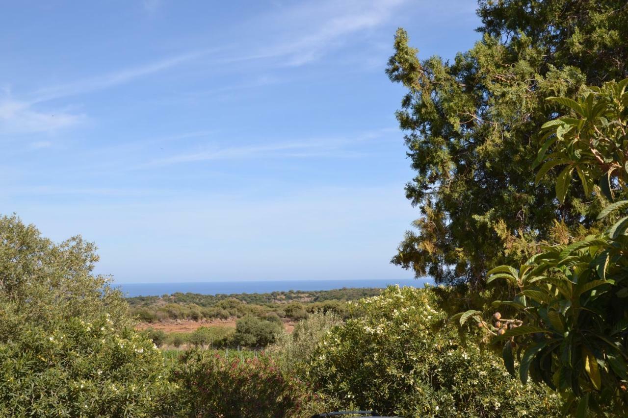 Casa Indipendente Immersa Nel Verde Con Vista Mare Dorgali Exterior foto